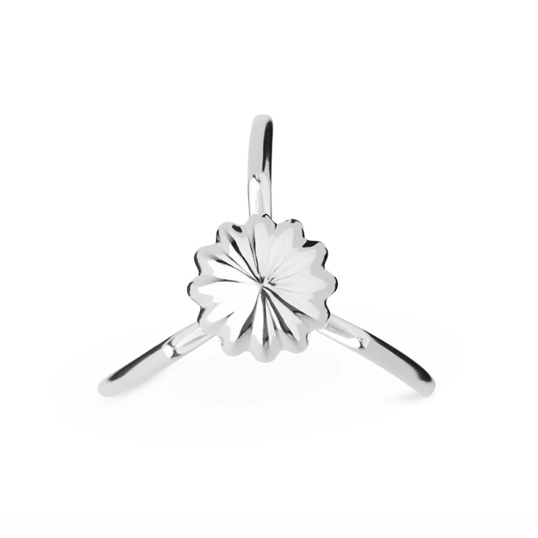 Accessoire de cuisine Presse-agrumes JUICY SALIF Chrome ALESSI