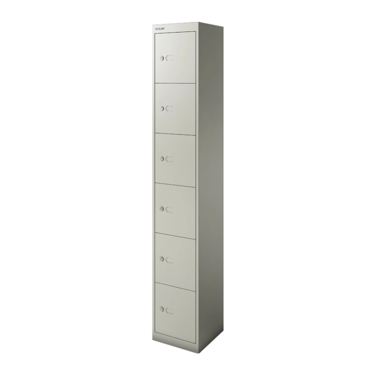 Meuble de rangement CLK 6 casiers Gris Goose BISLEY
