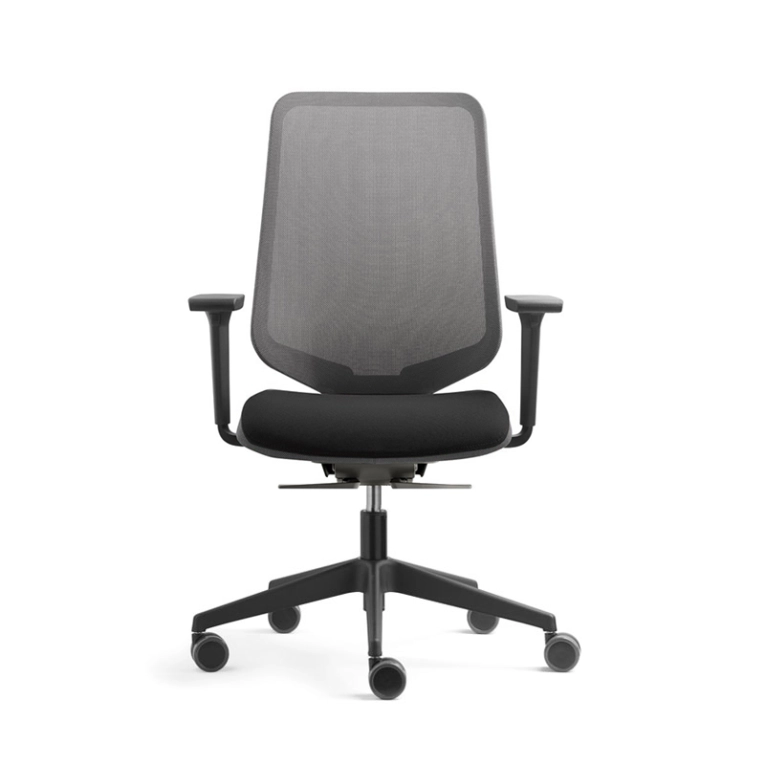 Fauteuil de bureau DOT.PRO Noir gris/ Noir SILVERA PRO