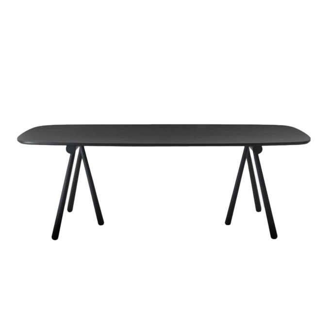 ALTAY L 240 Frêne Noir COEDITION