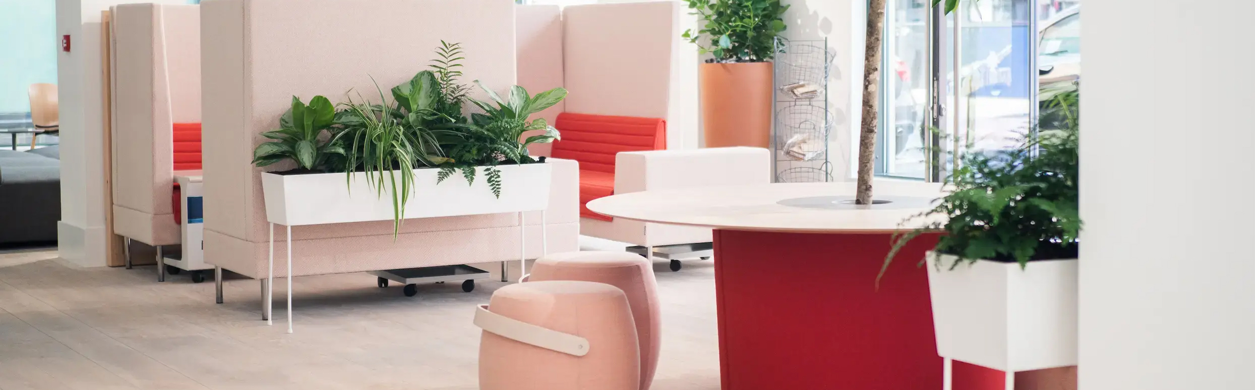 OFFECCT